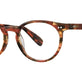 Amber Tortoise