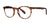 SCOJO THE GERSHWIN Eyeglasses | Size 48 / Amber Tortoise
