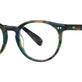 Teal Tortoise
