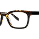 Black Tortoise