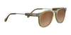 Serengeti AMBOY Sunglasses | Size 53 / Olive Translucide / Mineral Polarized Drivers Gradient Cat 2 to 3