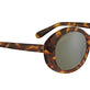 Shiny Tortoise Havana