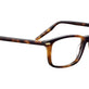 Shiny Tortoise Havana