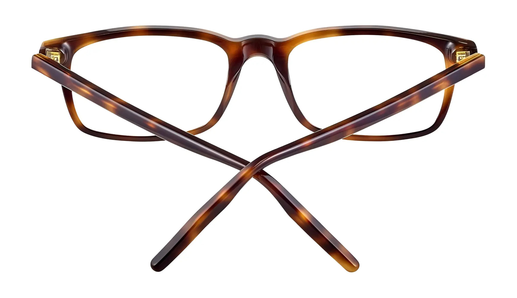 Serengeti CLINT Eyeglasses | Size 57