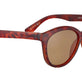 Matte Classic Tortoise