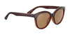 Serengeti ENDEE Sunglasses | Size 56 / Shiny Milky Vintage Tortoise / Saturn 555nm Cat 2 to 3
