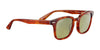 Serengeti ETHAN Sunglasses | Size 52 / Shiny Classic Havana / Mineral Polarized 555nm Cat 3 to 3