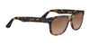 Serengeti FOYT L Sunglasses | Size 60 / Shiny Tortoise Havana / Mineral Polarized 555nm Cat 3 to 3