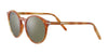 Serengeti HAVAH Sunglasses | Size 51 / Honey Shiny / Mineral Polarized 555nm Cat 3 to 3