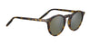 Serengeti RAFFAELE Sunglasses | Size 48 / Honey Shiny / Mineral Polarized 555nm Cat 3 to 3