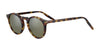 Serengeti RAFFAELE Sunglasses | Size 48 / Honey Shiny / Mineral Polarized 555nm Cat 3 to 3