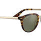 Shiny Tortoise Havana