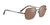 Serengeti LOY Sunglasses | Size 56 / Shiny Chocolate Brown