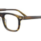Shiny Ocre Tortoise
