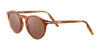 Serengeti RAFFAELE Sunglasses | Size 48 / Honey Shiny / Mineral Polarized 555nm Cat 3 to 3