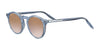 Serengeti RAFFAELE Sunglasses | Size 48 / Honey Shiny / Mineral Polarized 555nm Cat 3 to 3