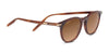 Serengeti RAFFAELE Sunglasses | Size 48 / Honey Shiny / Mineral Polarized 555nm Cat 3 to 3
