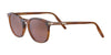 Serengeti RAFFAELE Sunglasses | Size 48 / Honey Shiny / Mineral Polarized 555nm Cat 3 to 3