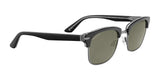 Serengeti RYAN Sunglasses