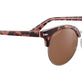 Shiny Tortoise Havana