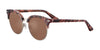 Serengeti SUSAN Sunglasses | Size 53 / Shiny Tortoise Havana / Mineral Polarized 555nm Cat 3 to 3