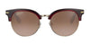 Serengeti SUSAN Sunglasses | Size 53 / Shiny Tortoise Havana / Mineral Polarized 555nm Cat 3 to 3