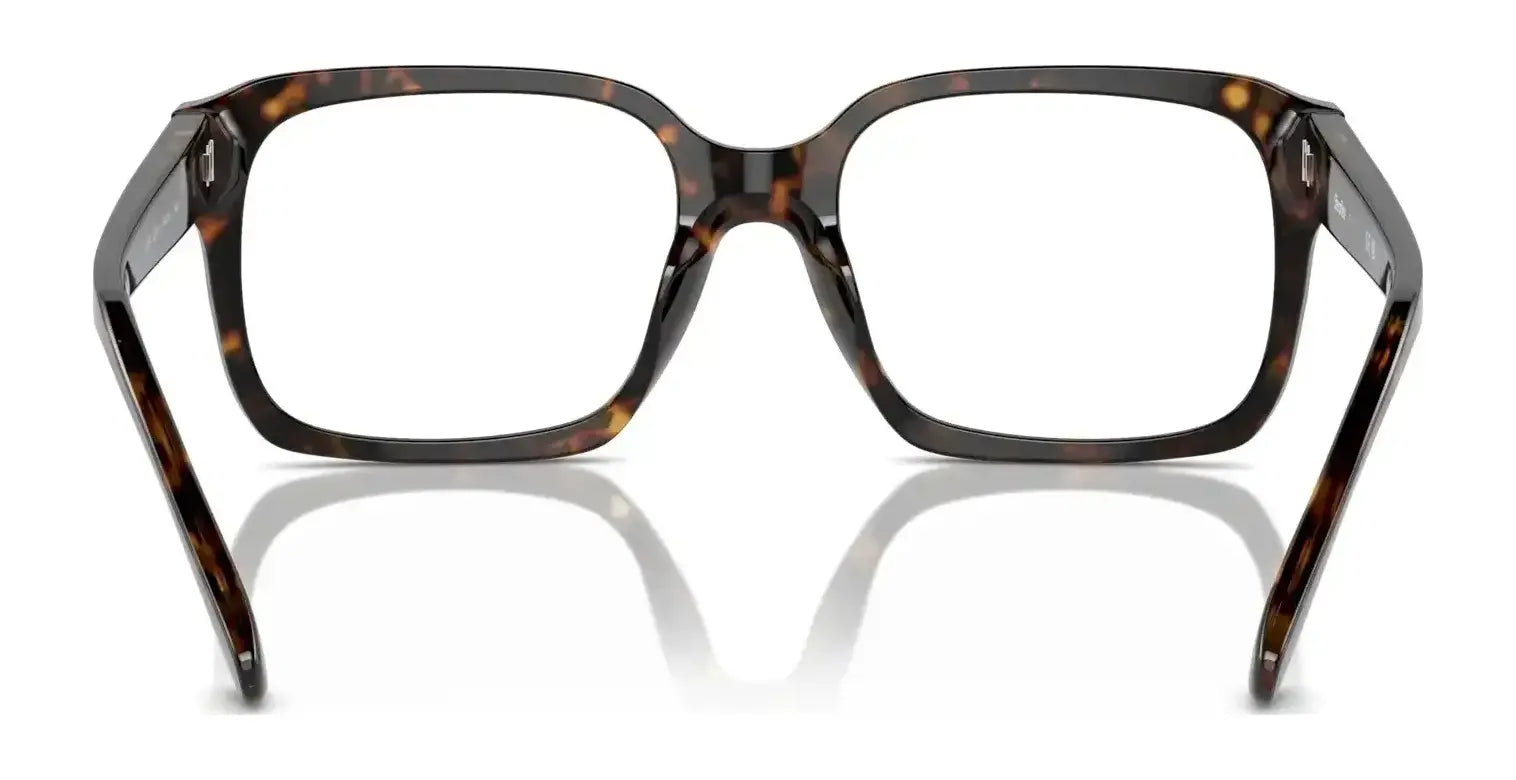 Sferoflex SF1152 Eyeglasses