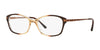 Sferoflex SF1556 Eyeglasses / Gradient Light Brown №C591 / Size 53