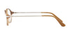 Sferoflex SF1574 Eyeglasses | Size 53 / Gradient Brown №1009
