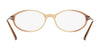 Sferoflex SF1574 Eyeglasses | Size 53 / Gradient Brown №1009