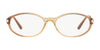Sferoflex SF1574 Eyeglasses | Size 53 / Gradient Brown №1009