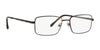Sferoflex SF2271 Eyeglasses / Black Cocoa №441 / Size 53