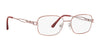 Sferoflex SF2580B Eyeglasses / Gold №108 / Size 49