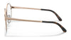 Sferoflex SF2601 Eyeglasses / Shiny Light Gold №469 / Size 54