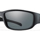 Polarized Gray