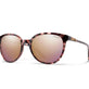 B4BC / Rose Tortoise