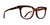 SPY BEWILDER Eyeglasses / Honey Tort