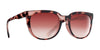 SPY BEWILDER Sunglasses | Size 54 / Peach Tort / Bronze Peach Pink Fade