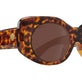 Brown Tortoise Shiny