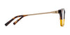 SPY HARDWIN Fusion Eyeglasses / Black Brushed Bronze / Size 50