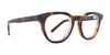 SPY KADEN Eyeglasses / Honey Tort / Size 50