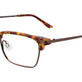 Demi Amber & Dark Brown