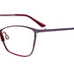 Satin Dark Red & Steel Blue