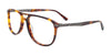 Takumi TK1127 Eyeglasses with Clip-on Sunglasses | Size 53 / Demi Amber & Satin Steel