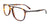 Takumi TK1127 Eyeglasses with Clip-on Sunglasses | Size 53 / Demi Amber & Satin Steel