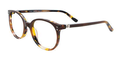 Takumi TK1129 Eyeglasses Brown & Demi Brown