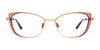 Takumi TK1148 Eyeglasses with Clip-on Sunglasses | Size 53 / Matt Gold & Dark Brown