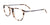 Takumi TK1150 Eyeglasses with Clip-on Sunglasses | Size 50 / Demi Brown & Matt Dark Steel