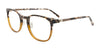 Takumi TK1159 Eyeglasses with Clip-on Sunglasses | Size 50 / Demi Brown & Caramel