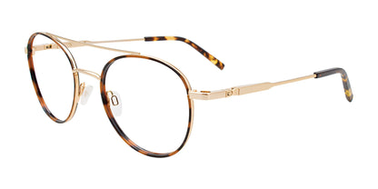 Takumi TK1173 Eyeglasses Shiny Demi Amber & Shiny Gold